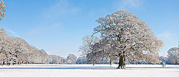 那不勒斯雄心壮志意甲霸主身份